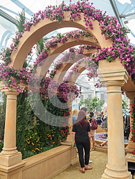 RHS Chelsea Flower Show 2017. The world`s most prestigious flower show displaying the best in garden design.